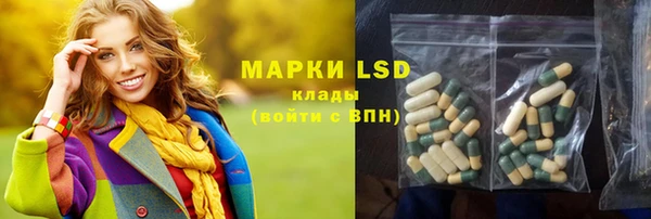 твердый Грязовец
