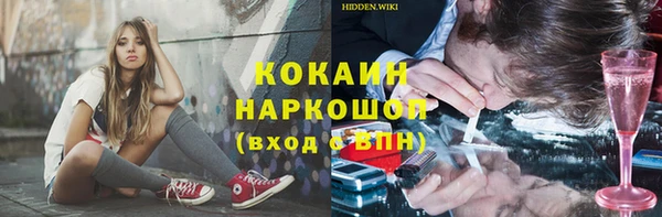 прущий лед Пересвет