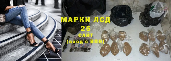 прущий лед Пересвет