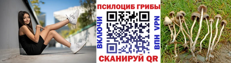 Галлюциногенные грибы ЛСД  купить   Луза 